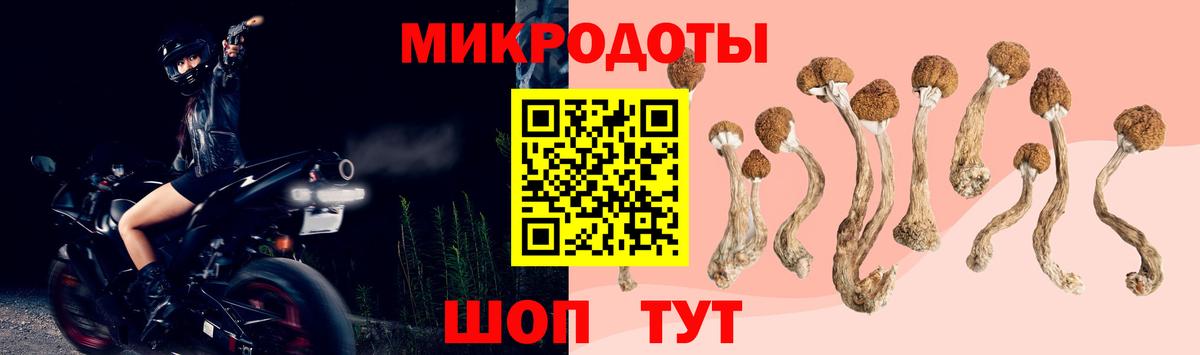 Галлюциногенные грибы Magic Shrooms  Галлюциногенные грибы MAGIC MUSHROOMS  Вход с VPN  Петропавловск-Камчатский 